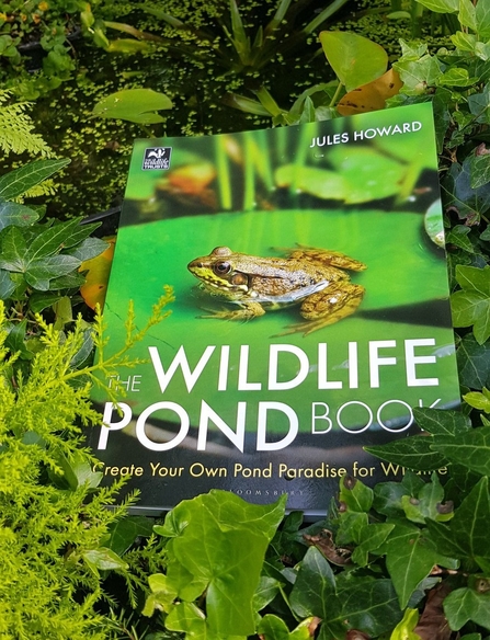 Jules Howard Wildlife Pond book