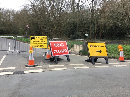 Toads in the road sign