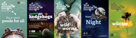 wag booklets