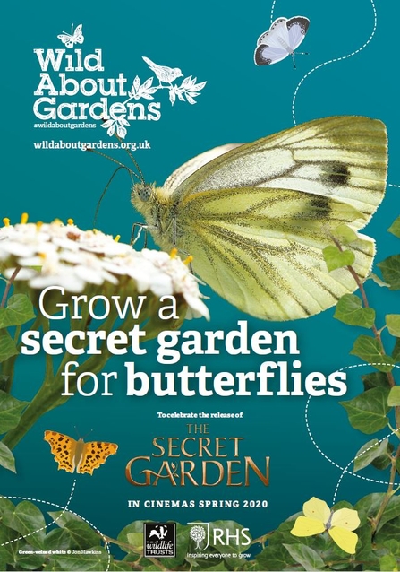 butterfly image against a teal background with text 'Grow a secret garden for butterflies'