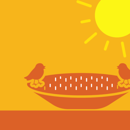 Birds in a bird bath infographic