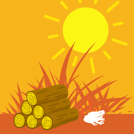 frog hiding in the shade under logs infographic