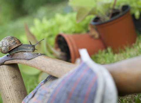 Gardening